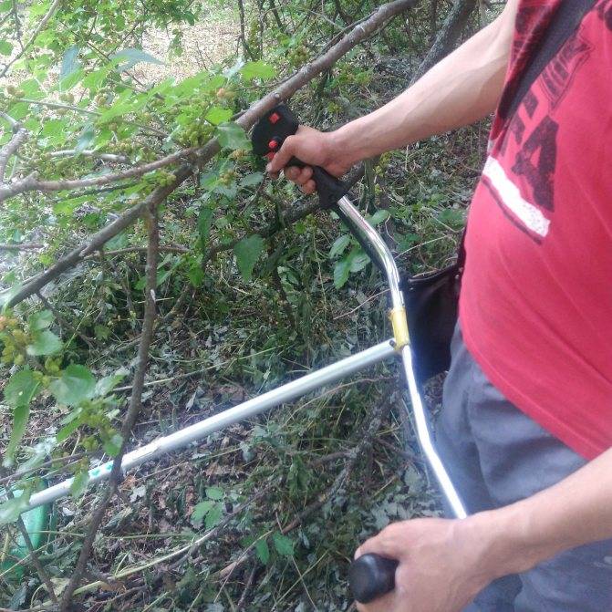 Как правильно завести бензопилу без стартера - инструкция