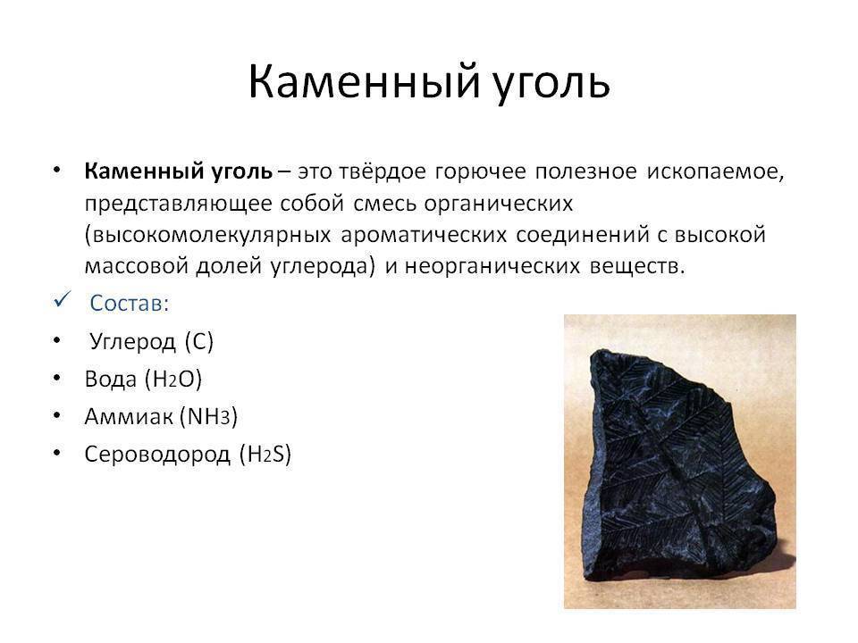 Древесный уголь как удобрение: советы по применению