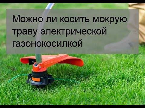 Можно ли косить триммером сухую траву весной • evdiral.ru