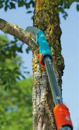 Электропила для обрезки деревьев