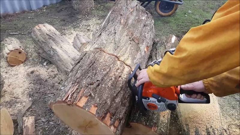 Работа бензопилой: правила валки леса, распила бревен, резьба поделок из дерева