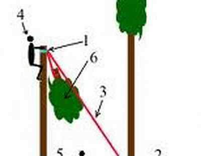 Как правильно спилить дерево в нужном направлении