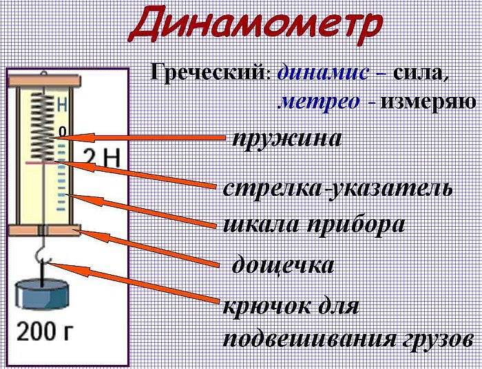 Презентация про динамометр