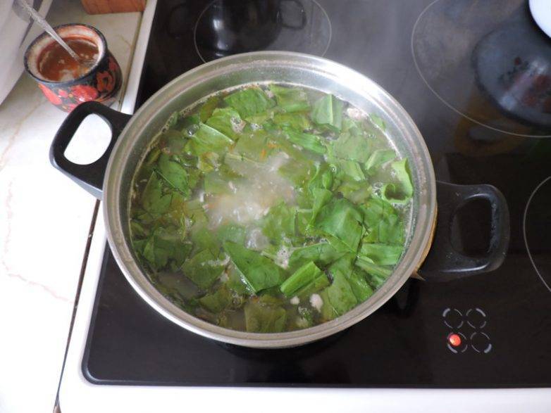 Зеленый борщ с щавелем и яйцом - 8 рецептов классического щавелевого борща с фото пошагово