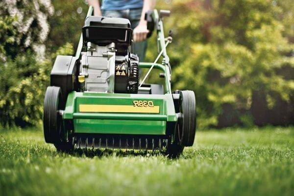 Для ухода за газоном: выбираем лучший вертикуттер
