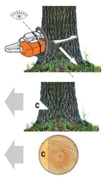 Как спилить большое дерево частями бензопилой видео