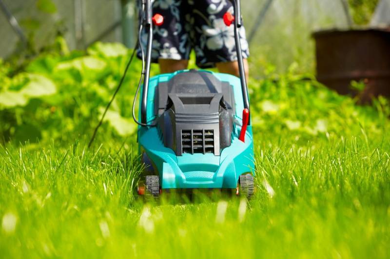 Можно ли косить мокрую траву триммером и газонокосилкой и как это делать?