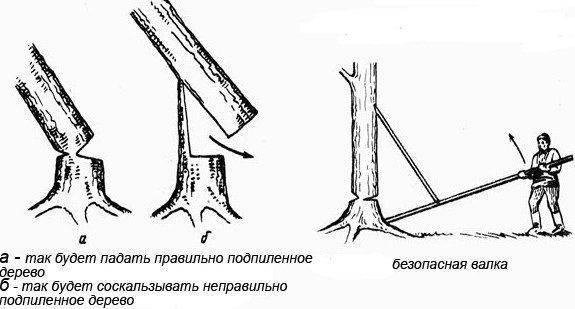 Инструкция о том, как свалить дерево при помощи бензопилы