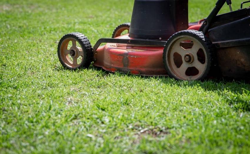 Стрижка газона: как косить газонную траву и каким инструментом