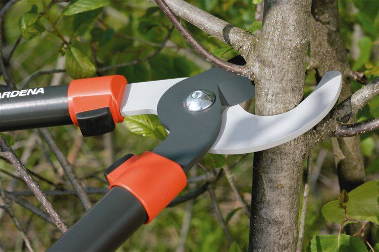 Ручные ножовки по дереву: как выбрать по назначению и характеристикам подходящую модель, рейтинг популярности, плюсы и минусы