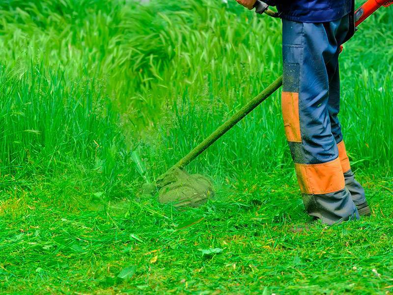 Можно ли косить мокрую траву электрической газонокосилкой