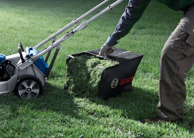 Можно ли косить мокрую траву триммером и газонокосилкой и как это делать