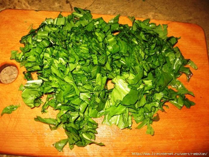 Зелёный борщ с щавелем: 5 классических рецептов