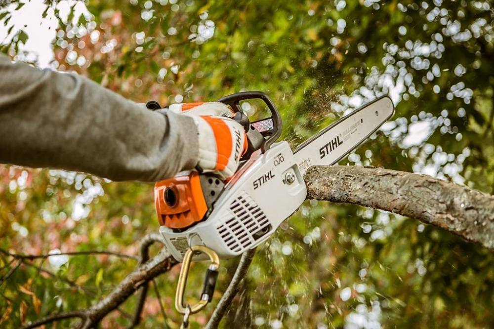 Рейтинг цепных электропил по дереву по надежности за 2021 год: лучшие электрические и аккумуляторные пилы для дачи