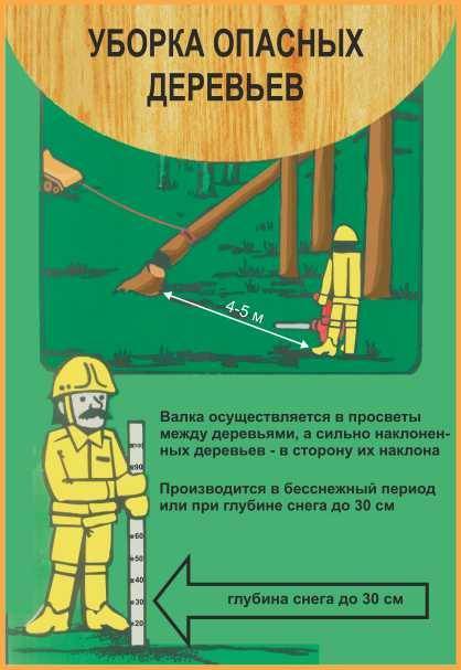 Утверждена типовая инструкция при косьбе травы - охрана труда в беларуси