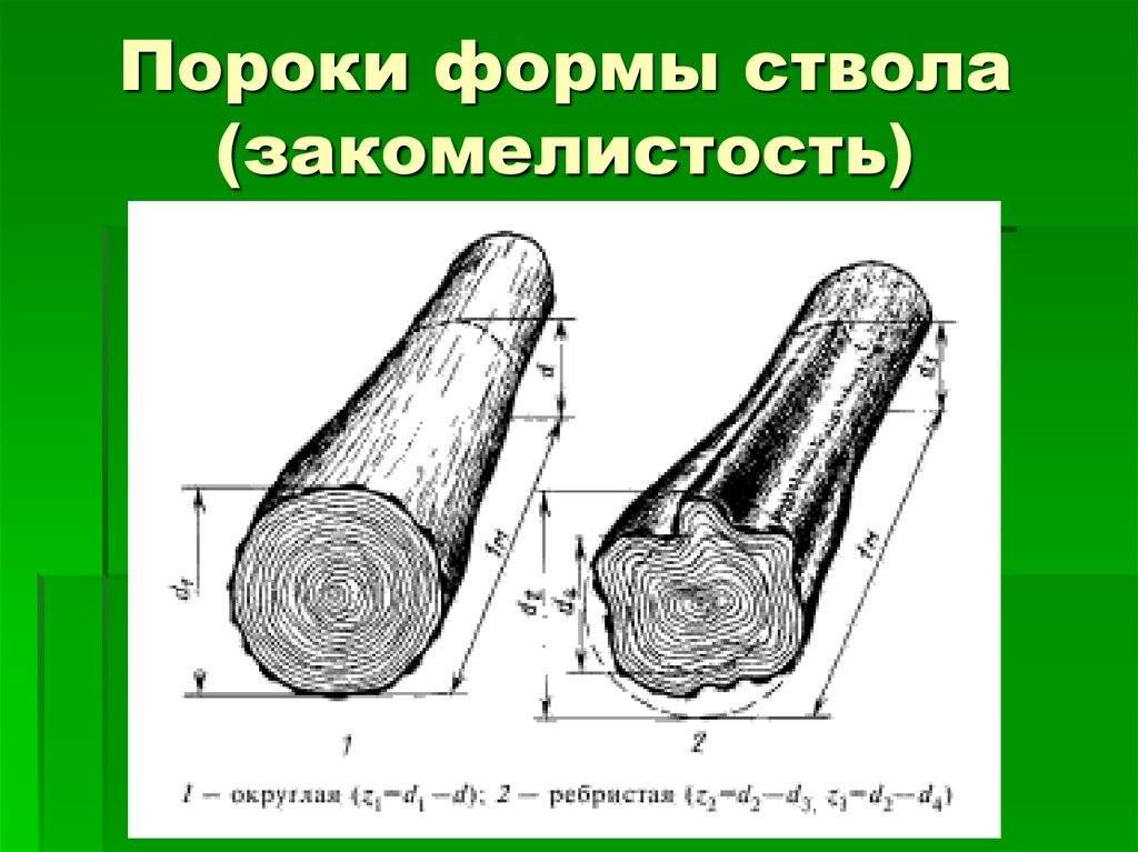 Смещенная сердцевина. Пороки древесины закомелистость. Пороки формы ствола сбежистость. Пороки формы ствола древесины. Пороки древесины сбежистость ствола.