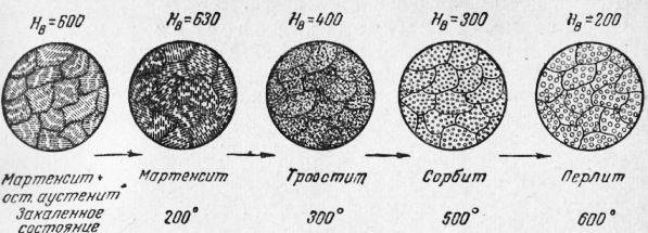 Схема структуры аустенит феррит