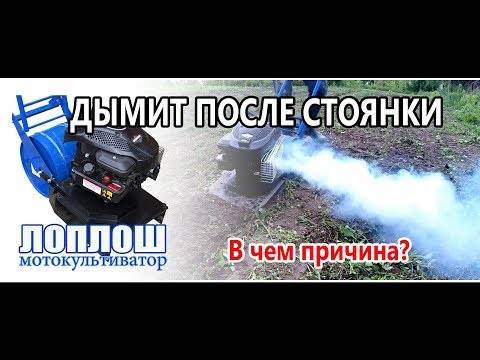 Мотоблок нева дымит черным дымом - nzizn.ru