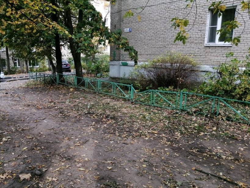 Куда жаловаться на вырубку деревьев и какова ответственность за подобные действия :: businessman.ru