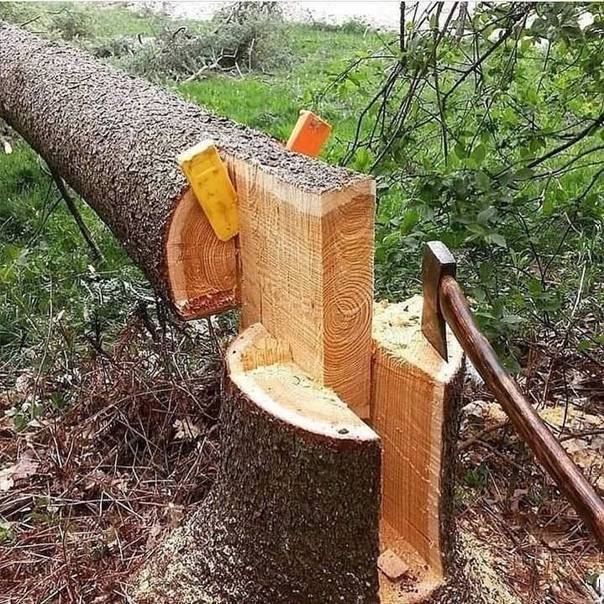 Как правильно завалить дерево в нужном направлении