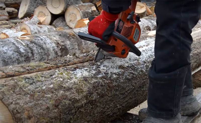 Как спилить дерево, чтобы оно упало куда надо: инструкция