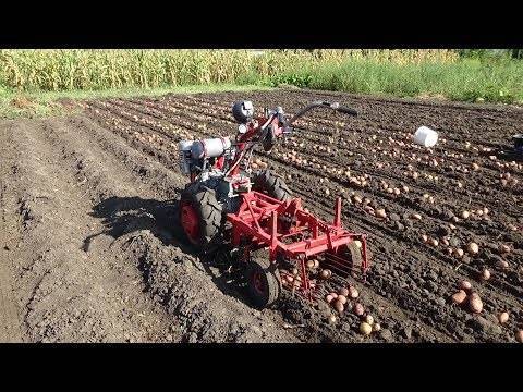 Посадка картофеля мотоблоком — обзор двух методов! — как мотоблоком сажать картофель — про огород