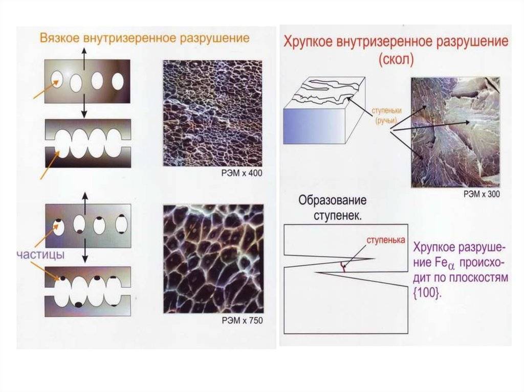 Деформируемые модели