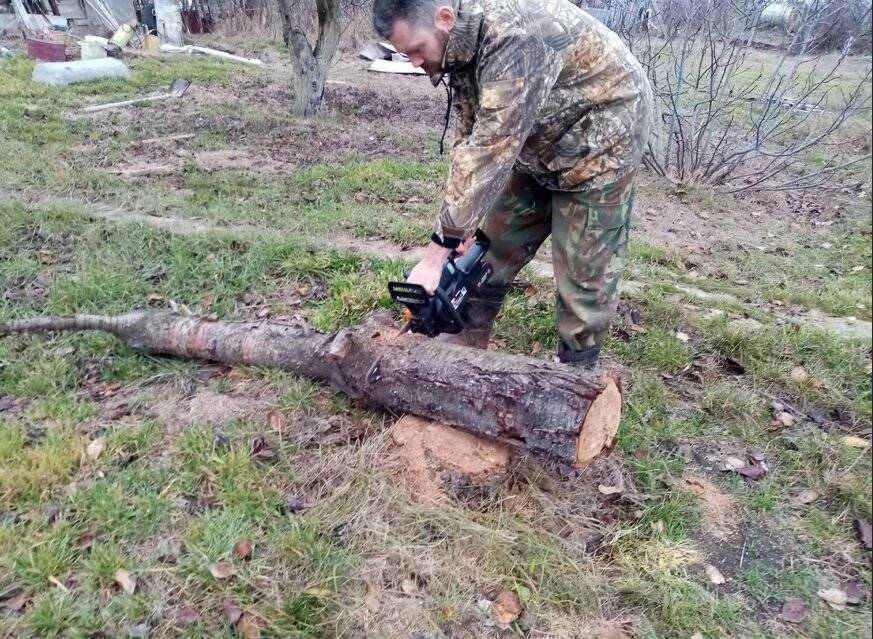 Можно ли пилить валежник в лесу на дрова 2021 | ndfl63.ru