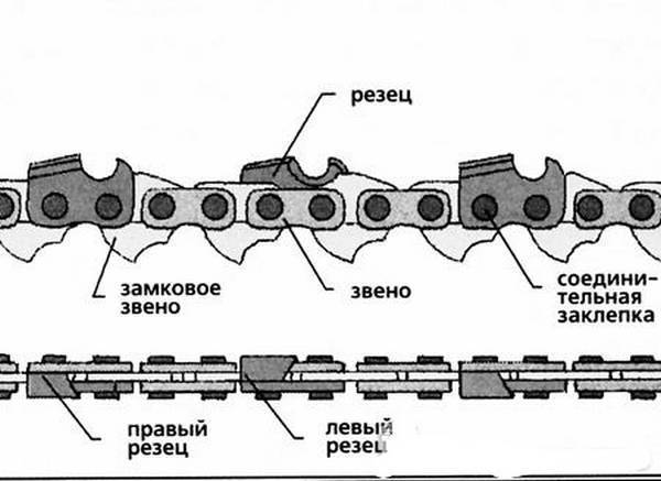 Правильное направление зубьев цепи на бензопиле - xl-info.ru