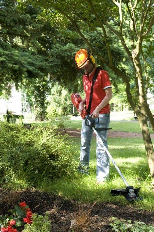 Инструкция по охране труда при скашивании травы 2021