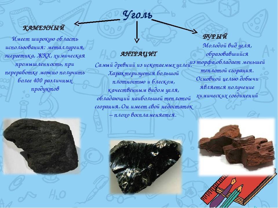 Бура описание, разновидности, свойства, применение