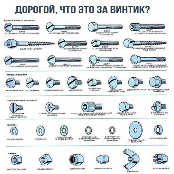Отличие винта от болта в определении и назначении: общие признаки
