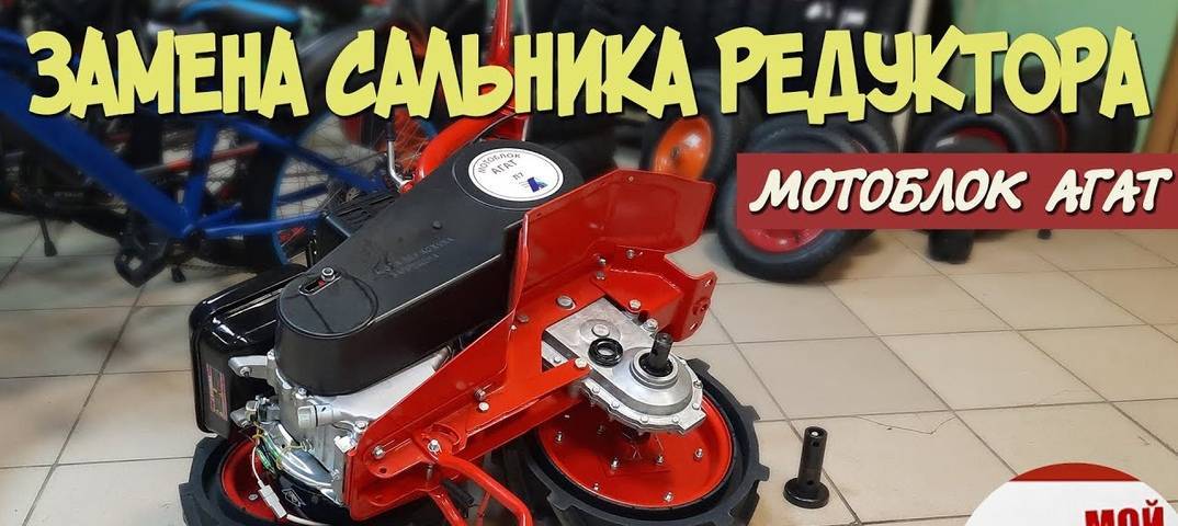 Редуктор мотоблока — особенности устройства, масла, сальники