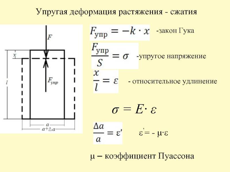 Механические свойства древесины - con-stroy.ru