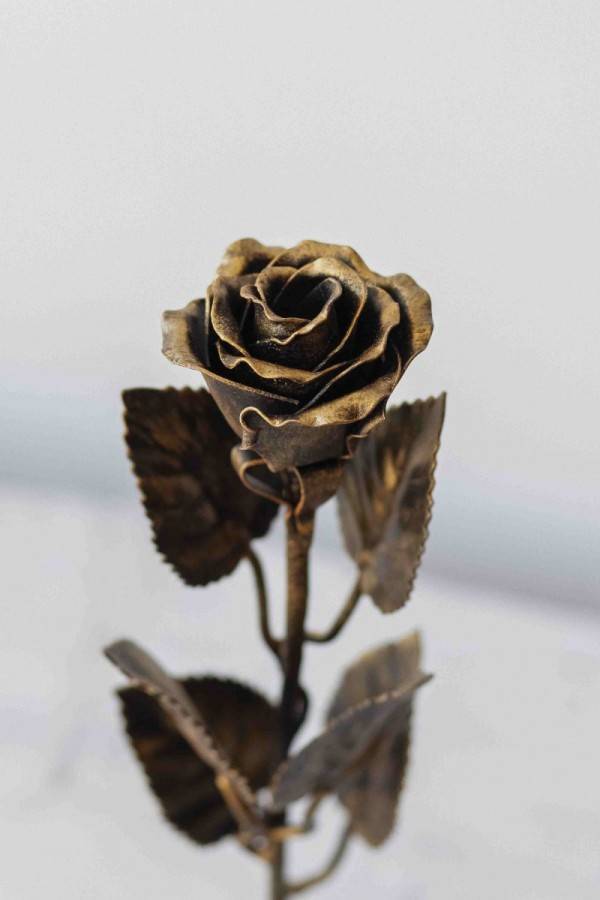 Кованые розы (52 фото): универсальный элемент декора