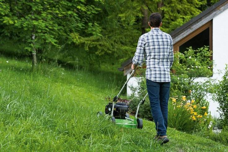 Выбираем газонокосилку для дачи: 17 важных нюансов или покупаем качество!