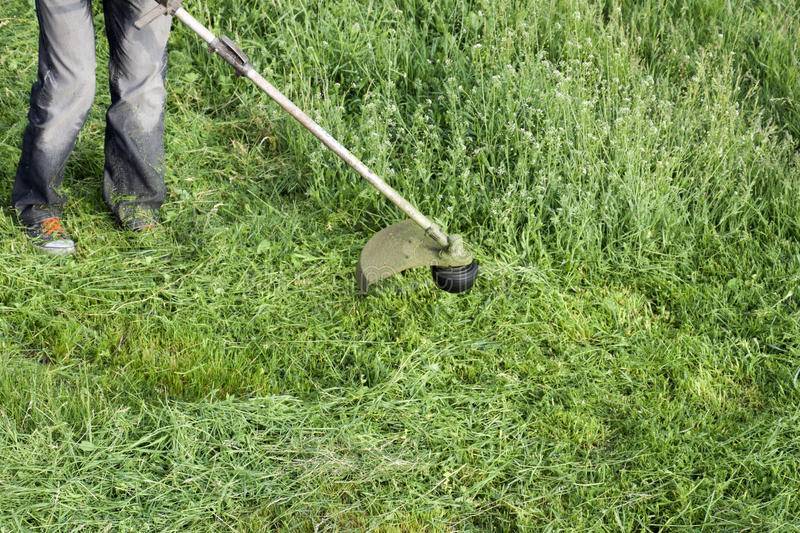 Можно ли насадкой кусторезом косить траву • evdiral.ru