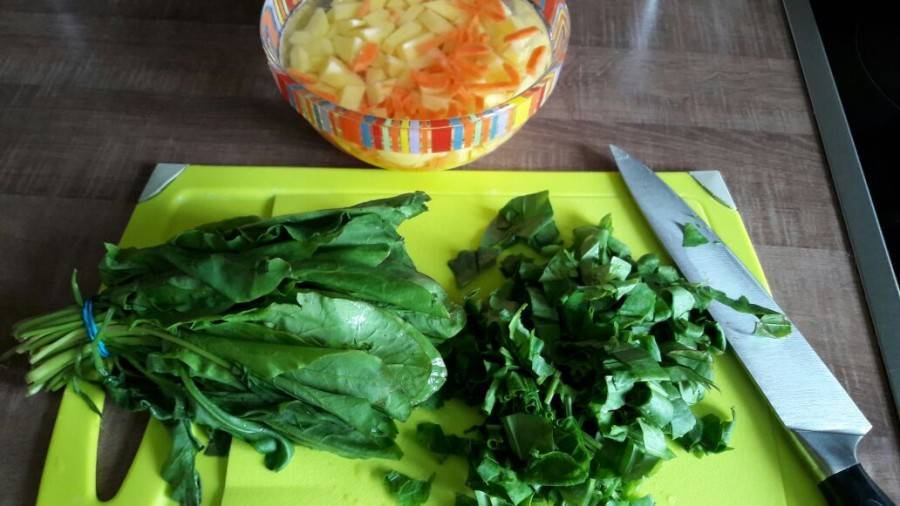 Зеленый борщ с щавелем и яйцом – рецепт классический, с мясом