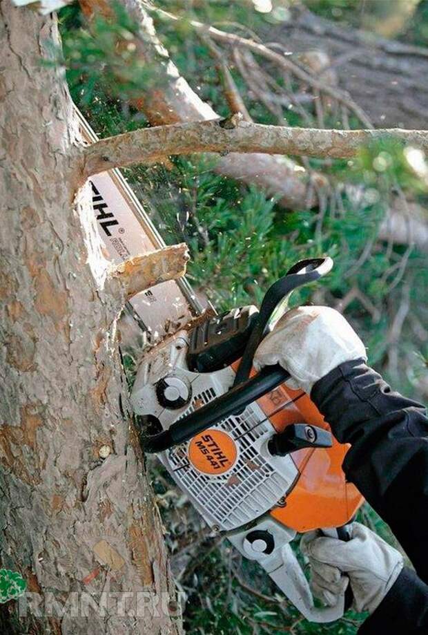 Как пилить бензопилами деревья пошаговая инструкция – мои инструменты
