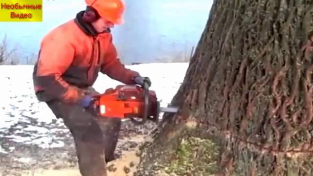 Карвинг по дереву с применением бензопилы — все что нужно знать
