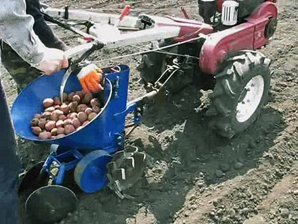 Посадка картофеля мотоблоком с окучником двухрядным, видео — как сажать картошку мотоблоком под окучник