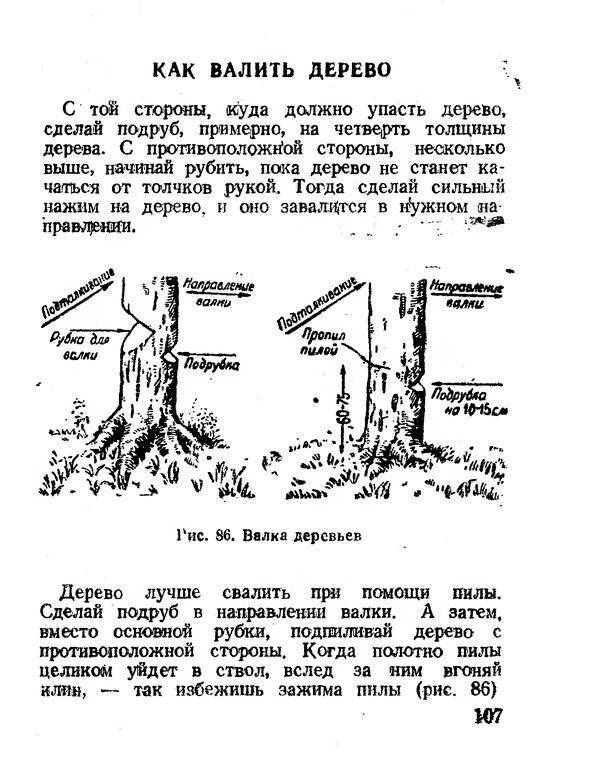 Схема спила дерева бензопилой