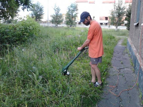 Можно ли насадкой кусторезом косить траву • evdiral.ru