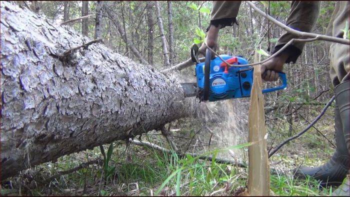 Как избавиться от ненужного дерева: 4 способа