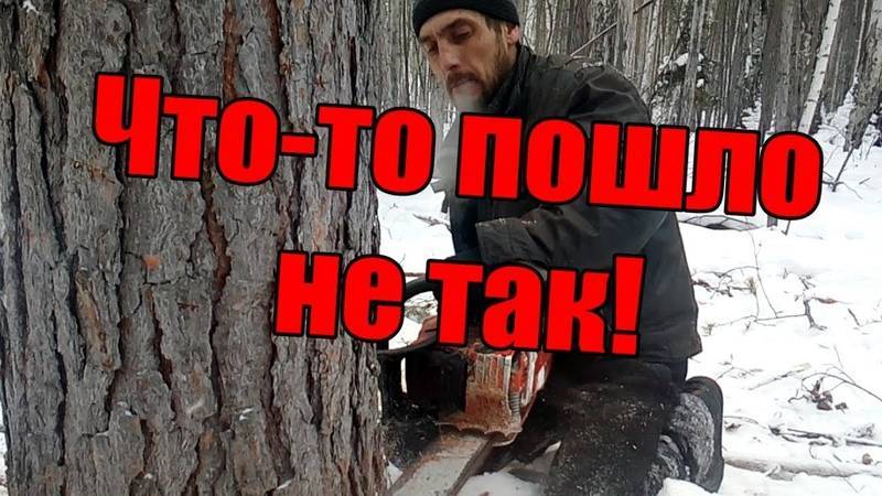 Можно ли пилить болгаркой дерево? секреты специалистов, как это сделать правильно