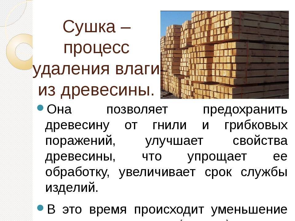 Сушка древесины. 4 практических примера | столярный совет