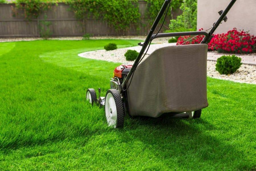 Как правильно косить газон газонокосилкой