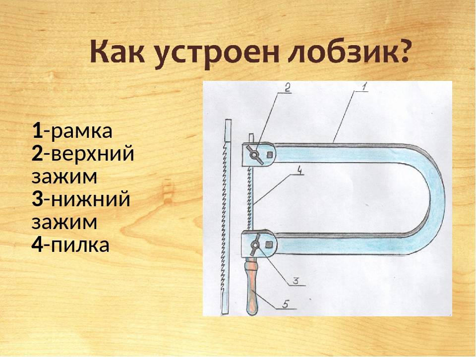 Как нарисовать лобзик карандашом