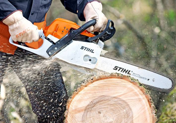 Спиливание деревьев: пошаговая инструкция как спилить дерево своими руками