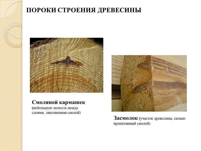 Древесина. виды, свойства, классификация и пороки древесины